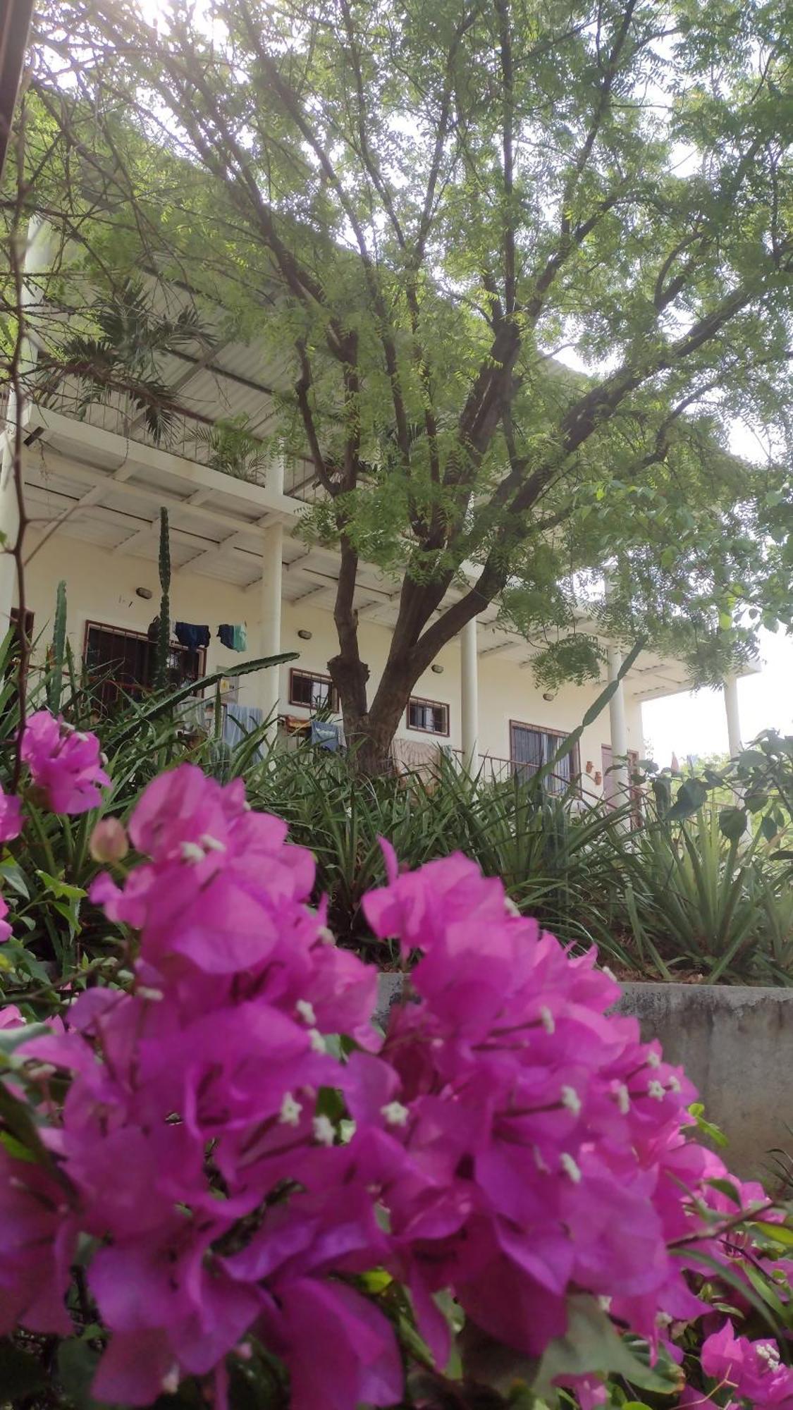 Casa Todo Bueno Bed & Breakfast Transito Екстериор снимка