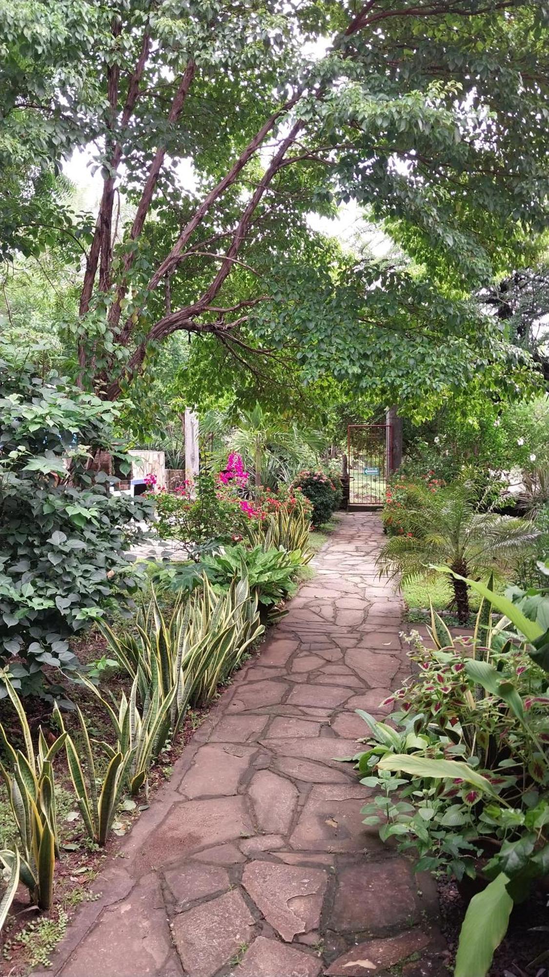 Casa Todo Bueno Bed & Breakfast Transito Екстериор снимка