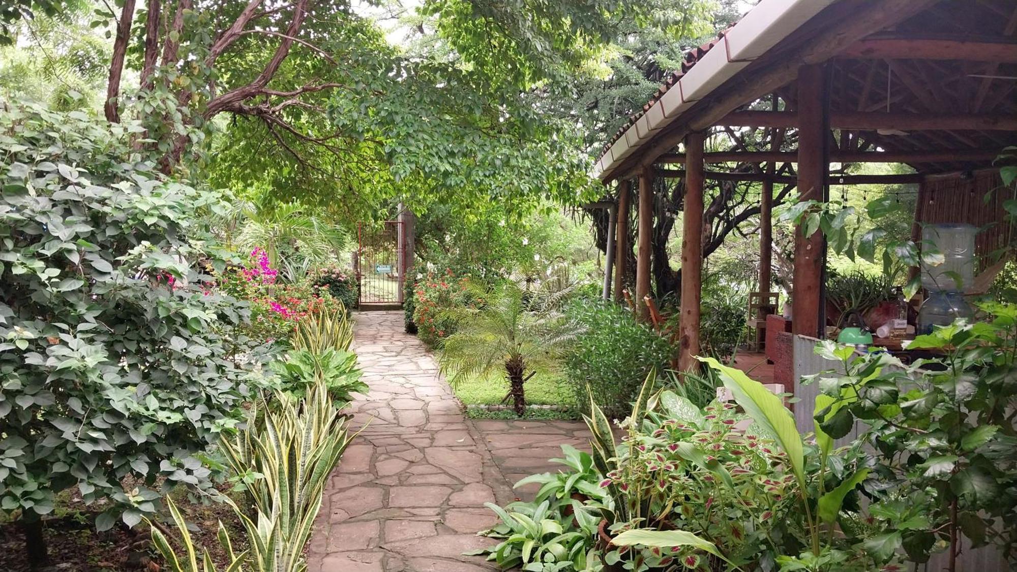 Casa Todo Bueno Bed & Breakfast Transito Екстериор снимка