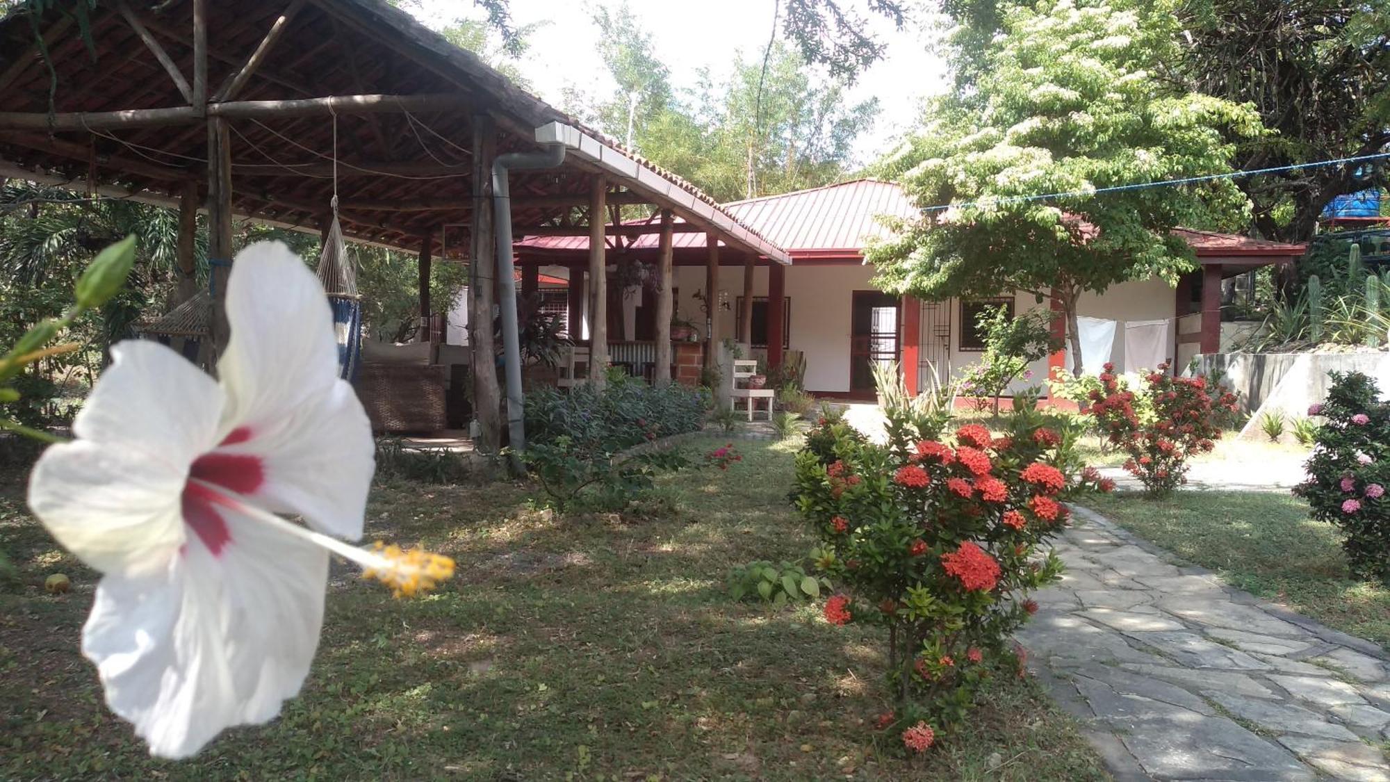 Casa Todo Bueno Bed & Breakfast Transito Екстериор снимка